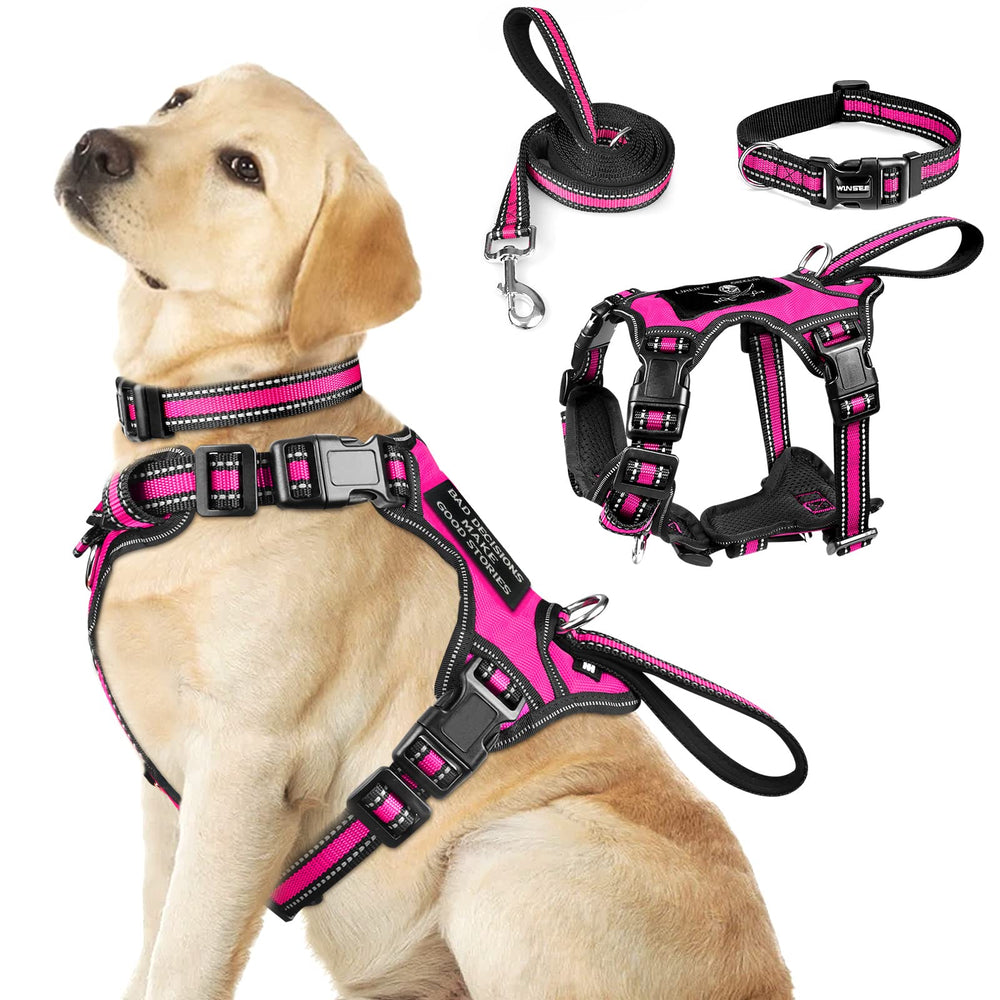 WINSEE 3in1 harness-collar-leash for secure daily walks.