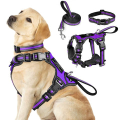 Winsee 3-in-1 harness front view showing reflective details for safer night strolls.
