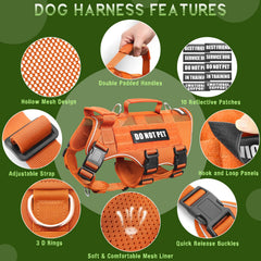 WINSEE harness with reflective strip for safer evening walks.