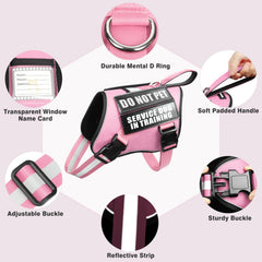 WINSEE pink 5-foot dog leash for comfortable control during training