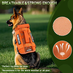 WINSEE MOLLE system on the harness for extra gear and pockets.