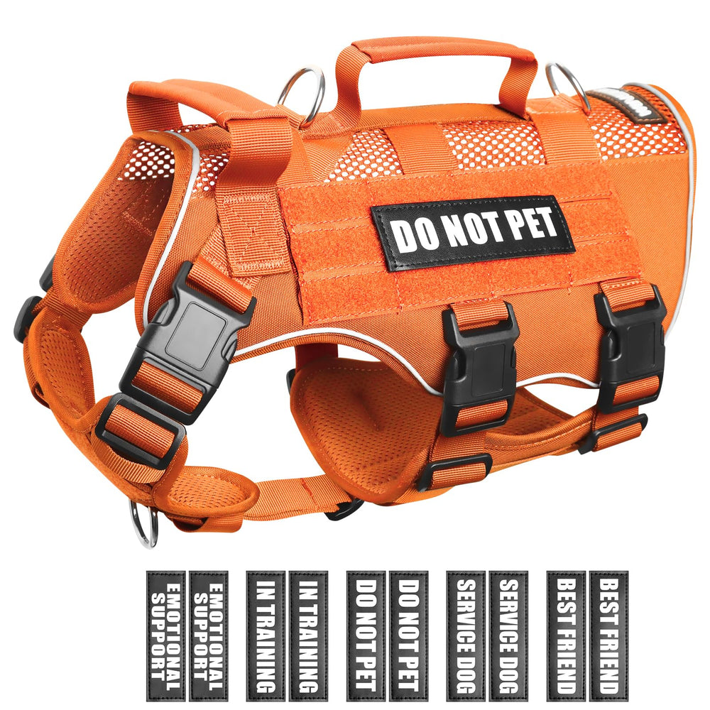 WINSEE mesh harness with 10 patches for clear signaling during training.