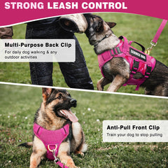 WINSEE 10-patch set on vest highlighting training and service status