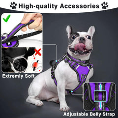 Winsee reflective collar with leash attachment enhances visibility during evening walks.