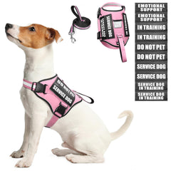WINSEE service dog harness pink with reflective trim for safer daily walks