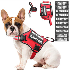 WINSEE service dog harness red front view for easy on-off and visibility