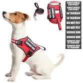 WINSEE service dog harness in red size S with patches for quick labeling.