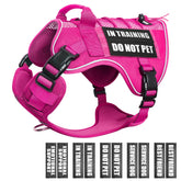 WINSEE service dog in training mesh harness with patches for clear identification during walks