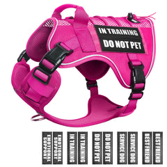 WINSEE service dog in training mesh harness with patches for clear identification during walks