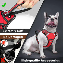 WINSEE service dog vest back clip provides alternate leash option for relaxed pacing