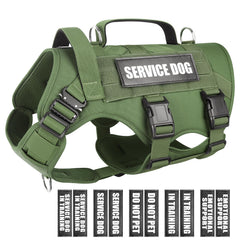 WINSEE service dog vest front view with MOLLE panels for gear and patches