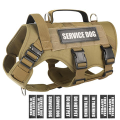 WINSEE service dog vest with MOLLE panel for modular storage and patches