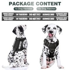 WINSEE tactical harness back clip for relaxed walking with secure leash