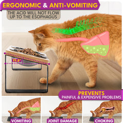 WinTruffles natural wood base bowls add a stylish, odor-free feeding station.
