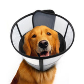 WinWeal soft dog cone collar with cushioned inner mesh for post-surgery protection.