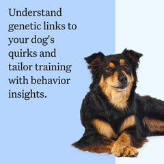 Wisdom Panel ancestry map illustrates three-generation breed lineage.