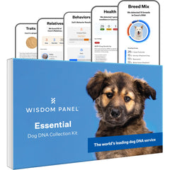 Wisdom Panel Essential kit cover for quick at home DNA testing
