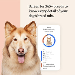 Wisdom Panel Premium in-use swab demonstrates easy, gentle cheek collection