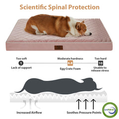 WNPETHOME bed with removable washable cover enables easy cleaning.