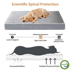 WNPETHOME orthopedic XL dog bed with detachable washable cover for easy cleaning