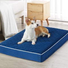 WNPETHOME Orthopedic XXL dog bed with velvet surface offers warm, comfortable rest for large dogs.