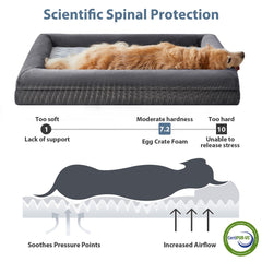 WNPETHOME XXL bed egg crate foam offers steady support.