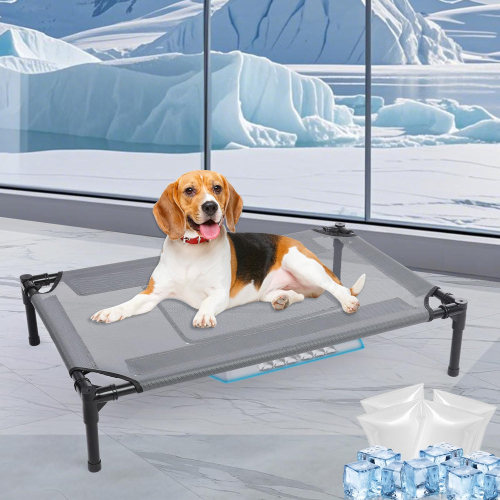 Wn's Day 34-inch outdoor elevated dog bed front view showing breathable frame and cooling surface.