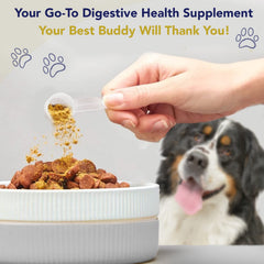 WNz Health Probiotics for Dogs bottle demonstrates maximum-strength digestive support