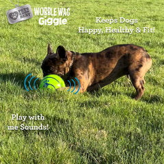 Wobble Wag Giggle Ball suitable for indoor and outdoor play