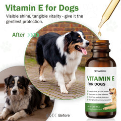 Bottle of WOMRICH Vitamin E for Dogs promoting coat shine and healthy skin.