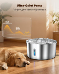 Wonder Creature sponge filters six-pack improves water circulation.