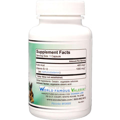 Close-up of Pet Factor B-12 capsules ready for daily use supporting B-12 absorption.