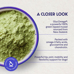 WONDER PAWS blue lipped mussels powder supplement for dogs