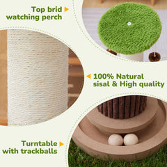 Woochpet natural sisal surface measuring 10 cm diameter for scratching.