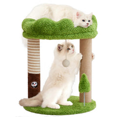 Woochpet small cat tree with green perch provides elevated play and cozy rest.