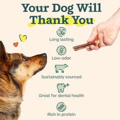 WOOF Bully Sticks teeth-cleaning chews aid dental comfort.