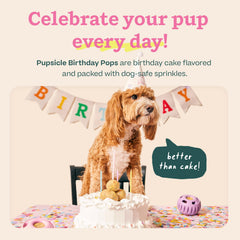 WOOF Pupsicle Birthday Pops served as a cake-flavored treat for dogs.