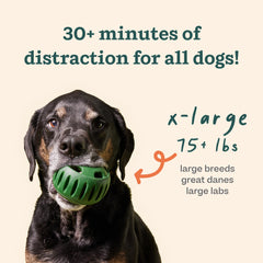 WOOF Pupsicle enrichment toy designed for interactive licking and mental engagement