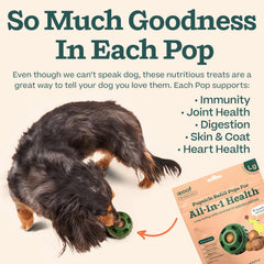 WOOF Pupsicle refill pops on hike offer on-the-go nutrition.