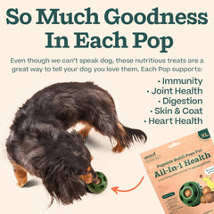 Dog enjoying an outdoor hike with WOOF Pupsicle refill pops XL for extended play