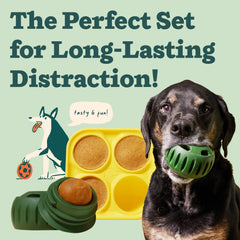 WOOF Pupsicle treat tray filled with homemade snacks for extended play.