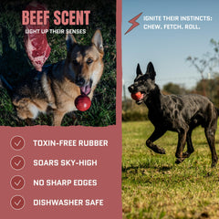 WoofBite 3-inch beef-scent ball chew-action shot, ideal for fetch and bite resistance.