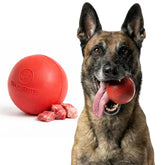 WoofBite 3-inch beef-scent ball top view, durable chew toy for power chewers.