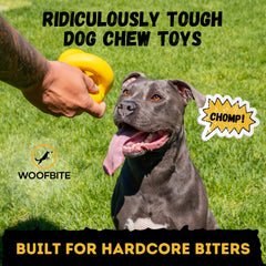 WoofBite lifetime-replacement ball, durable option for tough chewers during play.