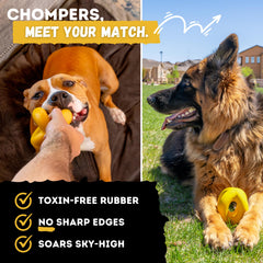 WoofBite non-toxic rubber ball offers safe chewing and easy cleaning.