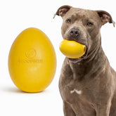 WoofBite virtually indestructible wobble toy close-up showing durable rubber for power chewers