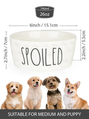 WoofinPets 6-inch diameter bowl stays secure during feeding