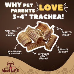 Woofley's Beef Trachea chew on floor, ideal reward treat.