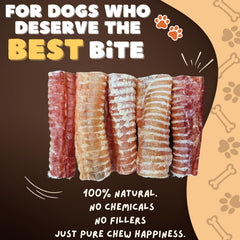 Woofley's Beef Trachea raw snack close-up demonstrates a single-ingredient, digestible treat.
