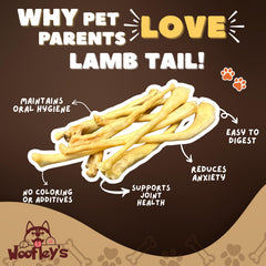 Woofley's dog dental-friendly chew aiding gum stimulation during play.